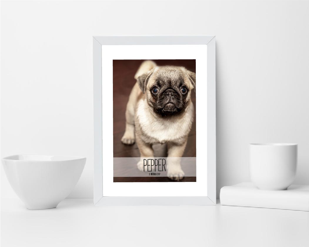 Personalisiertes Poster “Haustier” 🐾 mit eigenem Wunschmotiv, Bildgröße: 13x18cm, DIN A4, DIN A3, Bilderrahmen: Ohne Bilderrahmen, Bilderrahmen weiß ohne Passepartout, Bilderrahmen schwarz ohne Passepartout, , Copyright: 321geschenke.de