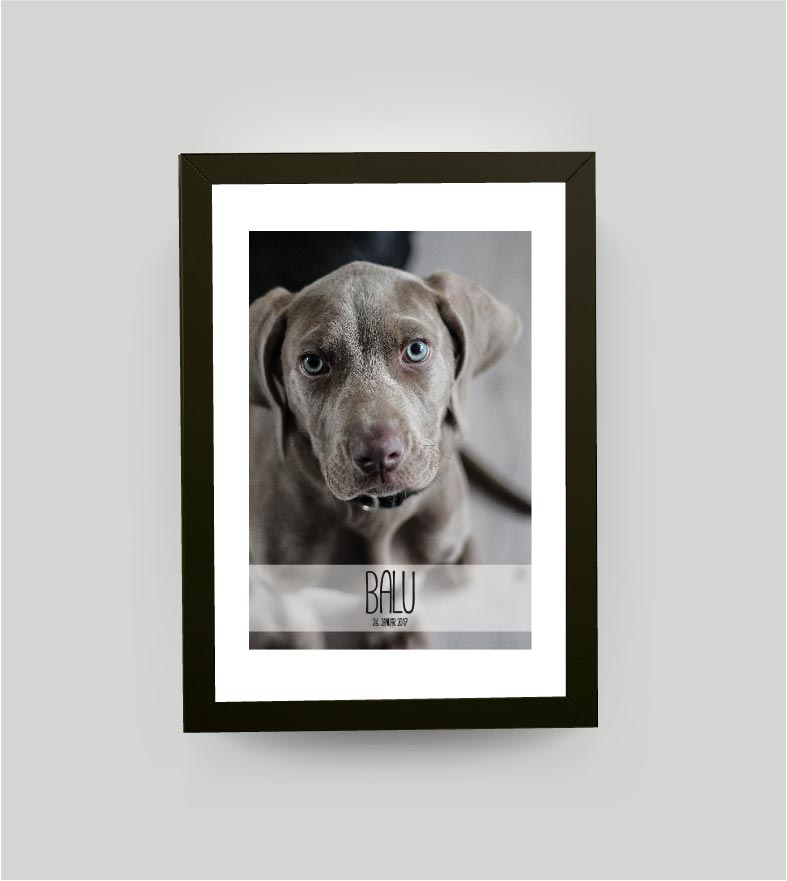 Personalisiertes Poster “Haustier” 🐾 mit eigenem Wunschmotiv, Bildgröße: 13x18cm, Bilderrahmen: Bilderrahmen schwarz ohne Passepartout, , Copyright: 321geschenke.de
