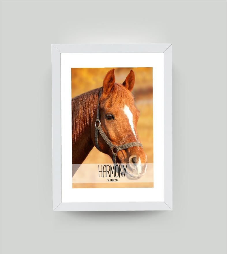 Personalisiertes Poster “Haustier” 🐾 mit eigenem Wunschmotiv, Bildgröße: 13x18cm, DIN A4, DIN A3, Bilderrahmen: Ohne Bilderrahmen, Bilderrahmen weiß ohne Passepartout, Bilderrahmen schwarz ohne Passepartout, , Copyright: 321geschenke.de