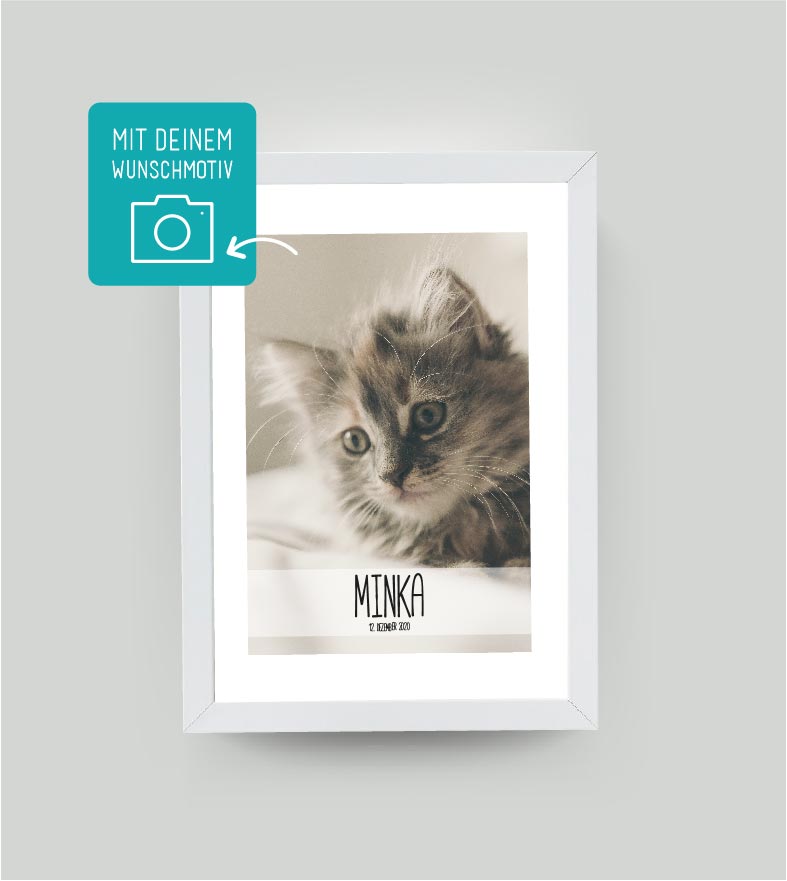 Personalisiertes Poster “Haustier” 🐾 mit eigenem Wunschmotiv, Bildgröße: 13x18cm, DIN A4, DIN A3, Bilderrahmen: Ohne Bilderrahmen, Bilderrahmen weiß ohne Passepartout, Bilderrahmen schwarz ohne Passepartout, , Copyright: 321geschenke.de