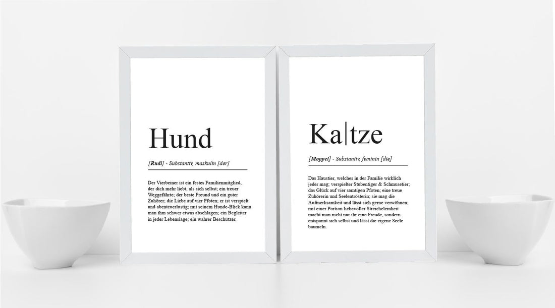 Unsere Definitions-Poster für dein Haustier!🐾