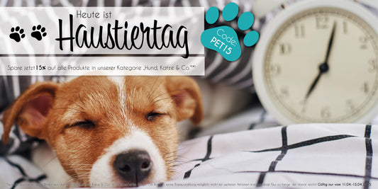 Feiere den Haustiertag mit 15 % Rabatt, Copyright: 321geschenke.de