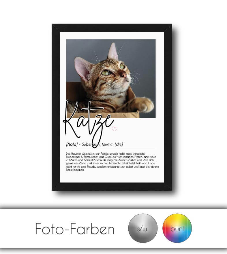 Personalisiertes Foto-Poster "Katze" mit Definition, Bildgröße: 13x18cm, DIN A4, DIN A3, Bilderrahmen: Ohne Bilderrahmen, Bilderrahmen weiß, Bilderrahmen schwarz, Bilderrahmen weiß mit Passepartout, Bilderrahmen schwarz mit Passepartout, Copyright: 321ges