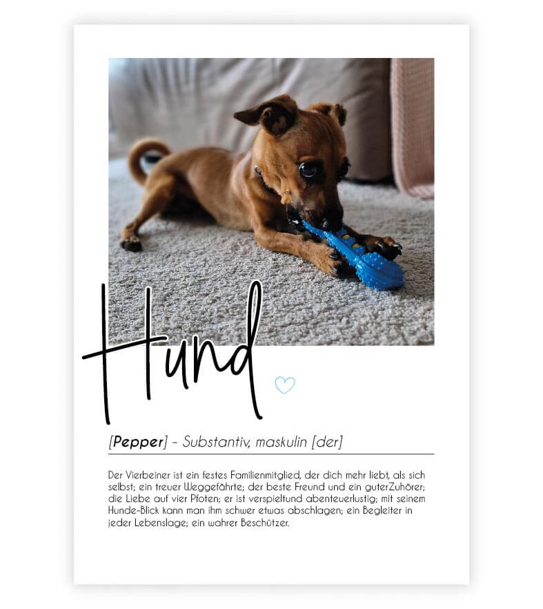 Personalisiertes Foto-Poster "Hund" mit Definition, Bildgröße: 13x18cm, DIN A4, DIN A3, Bilderrahmen: Ohne Bilderrahmen, Bilderrahmen weiß, Bilderrahmen schwarz, Bilderrahmen weiß mit Passepartout, Bilderrahmen schwarz mit Passepartout, Copyright: 321gesc