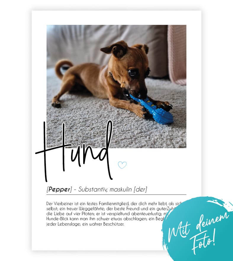 Personalisiertes Foto-Poster "Hund" mit Definition, Bildgröße: 13x18cm, DIN A4, DIN A3, Bilderrahmen: Ohne Bilderrahmen, Bilderrahmen weiß, Bilderrahmen schwarz, Bilderrahmen weiß mit Passepartout, Bilderrahmen schwarz mit Passepartout, Copyright: 321gesc