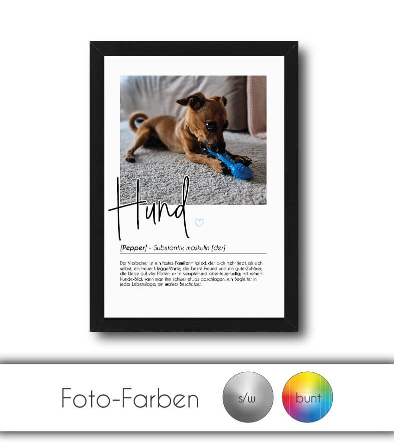 Personalisiertes Foto-Poster "Hund" mit Definition, Bildgröße: 13x18cm, DIN A4, DIN A3, Bilderrahmen: Ohne Bilderrahmen, Bilderrahmen weiß, Bilderrahmen schwarz, Bilderrahmen weiß mit Passepartout, Bilderrahmen schwarz mit Passepartout, Copyright: 321gesc