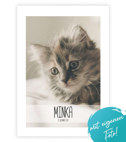 Personalisiertes Poster “Haustier” 🐾 mit eigenem Wunschmotiv, Bildgröße: 13x18cm, DIN A4, DIN A3, Bilderrahmen: Ohne Bilderrahmen, Bilderrahmen weiß ohne Passepartout, Bilderrahmen schwarz ohne Passepartout, Copyright: 321geschenke.de
