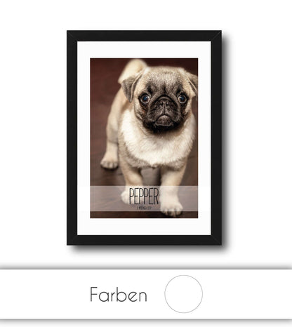 Personalisiertes Poster “Haustier” 🐾 mit eigenem Wunschmotiv, Bildgröße: 13x18cm, DIN A4, DIN A3, Bilderrahmen: Ohne Bilderrahmen, Bilderrahmen weiß ohne Passepartout, Bilderrahmen schwarz ohne Passepartout, Copyright: 321geschenke.de