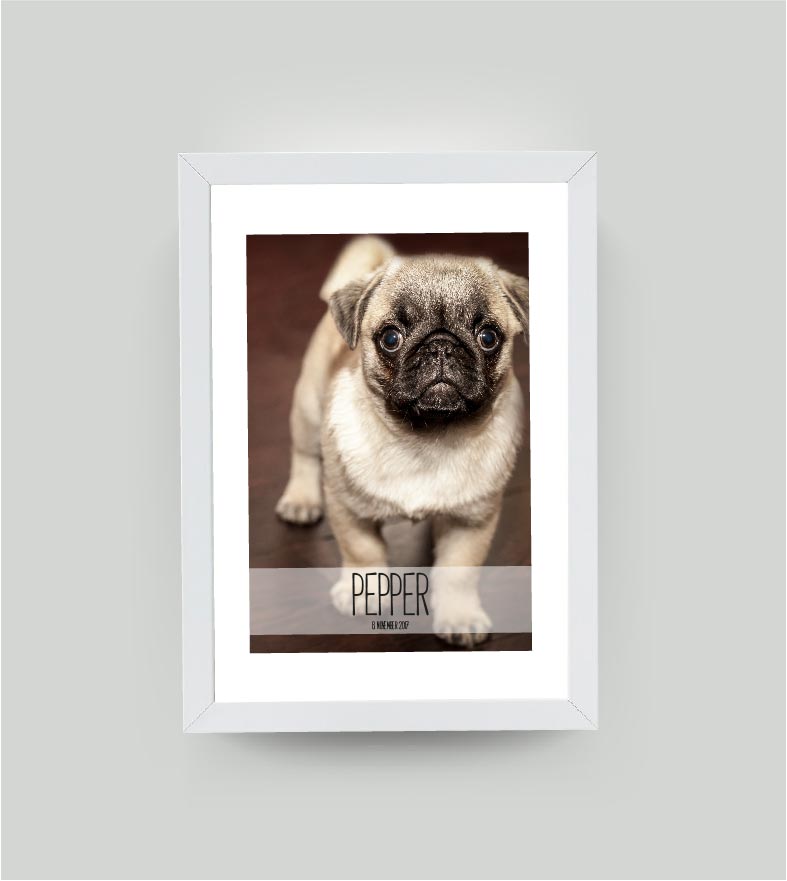 Personalisiertes Poster “Haustier” 🐾 mit eigenem Wunschmotiv, Bildgröße: 13x18cm, Bilderrahmen: Ohne Bilderrahmen, , Copyright: 321geschenke.de