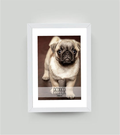 Personalisiertes Poster “Haustier” 🐾 mit eigenem Wunschmotiv, Bildgröße: 13x18cm, Bilderrahmen: Ohne Bilderrahmen, , Copyright: 321geschenke.de